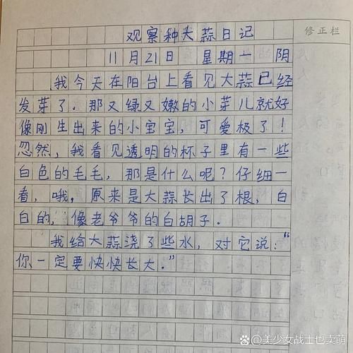 小学生如何写观察植物的作文_观察植物作文怎么写-第1张图片-星辰妙记