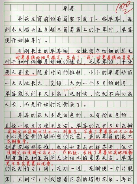 小学生如何写观察植物的作文_观察植物作文怎么写-第2张图片-星辰妙记