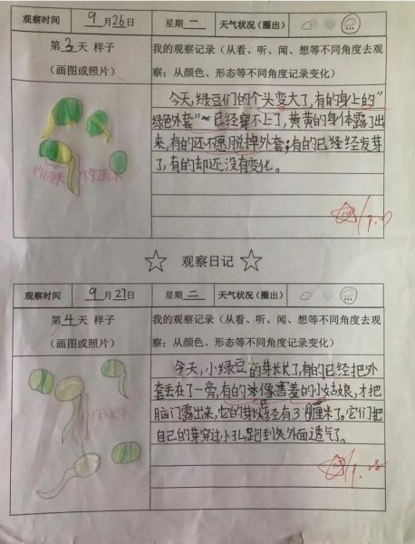小学生如何写观察植物的作文_观察植物作文怎么写-第3张图片-星辰妙记