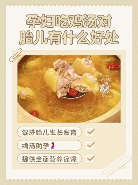 孕妇鸡汤怎么炖好喝又营养_孕妇喝鸡汤对胎儿好吗-第2张图片-星辰妙记