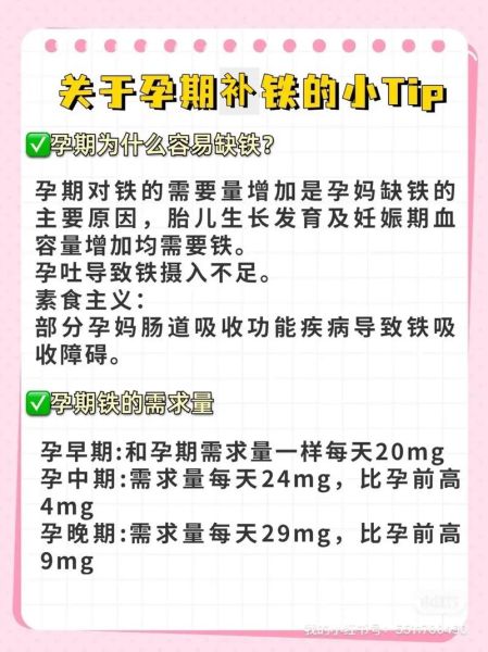 孕妇铁补多了会怎样_铁过量对胎儿的影响-第2张图片-星辰妙记