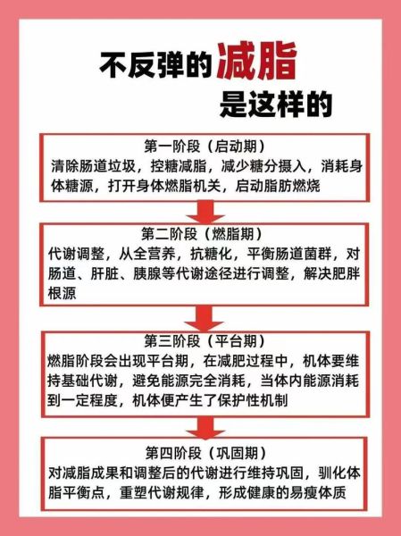 胖会不会影响健康_胖的人怎么减肥-第3张图片-星辰妙记