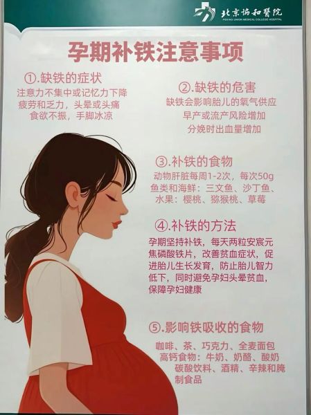 孕妇铁补多了会怎样_铁过量对胎儿的影响-第1张图片-星辰妙记