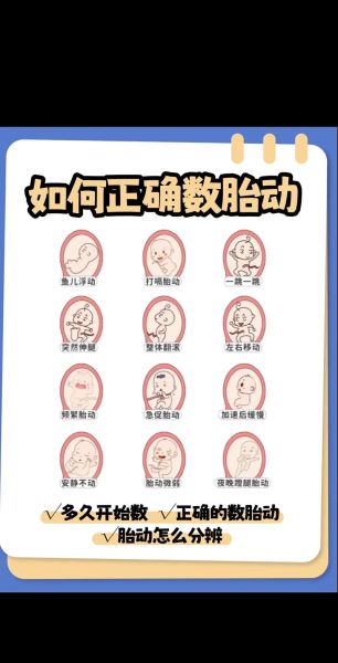 孕妇胎动几个月开始_胎动是什么感觉-第3张图片-星辰妙记
