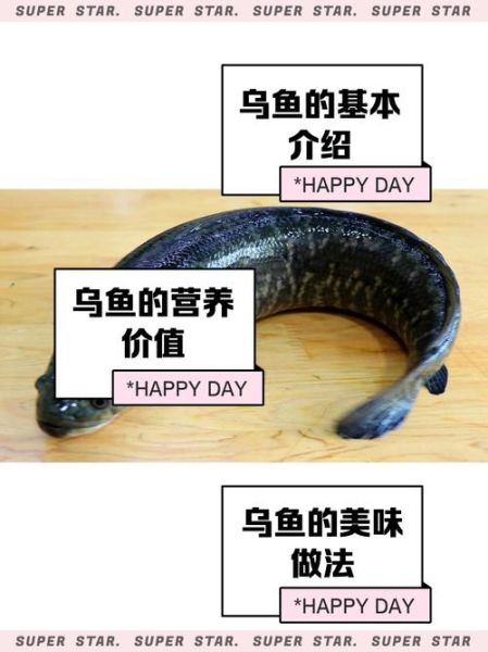 孕妇可以吃乌鱼吗_乌鱼汤对胎儿好吗-第2张图片-星辰妙记