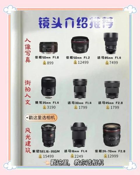 单反相机镜头怎么选择_新手买镜头注意什么-第2张图片-星辰妙记