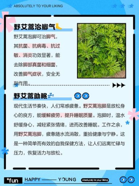 孕妇能用艾叶吗_艾叶泡脚对孕妇的好处与禁忌-第3张图片-星辰妙记