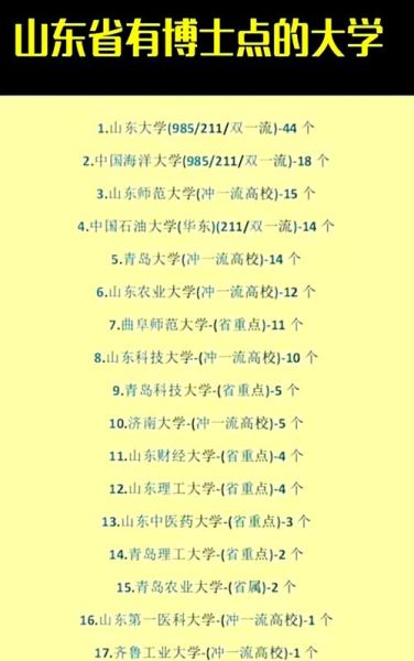 山东有哪些大学_山东高校名单-第2张图片-星辰妙记