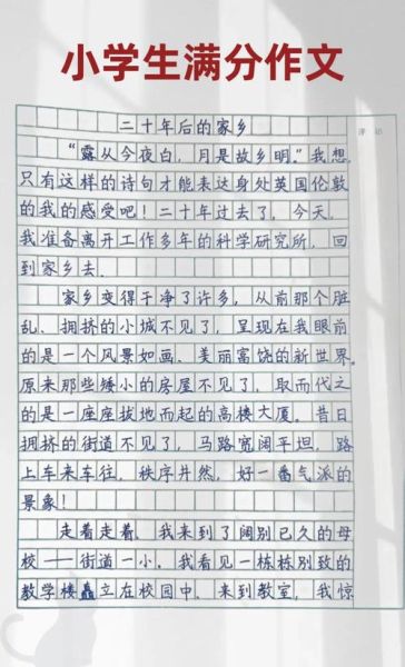 20年后的家乡会变成什么样_如何描写未来家乡-第3张图片-星辰妙记