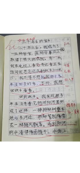 20年后的家乡会变成什么样_如何描写未来家乡-第2张图片-星辰妙记