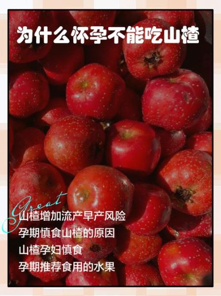 孕妇能吃山楂吗_山楂对胎儿有影响吗-第1张图片-星辰妙记