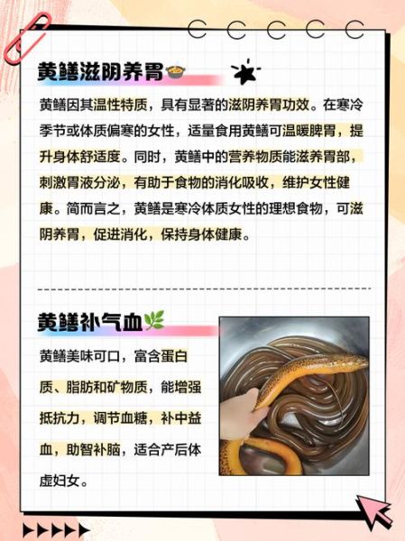 孕妇能吃黄鳝吗_孕期吃黄鳝注意事项-第1张图片-星辰妙记