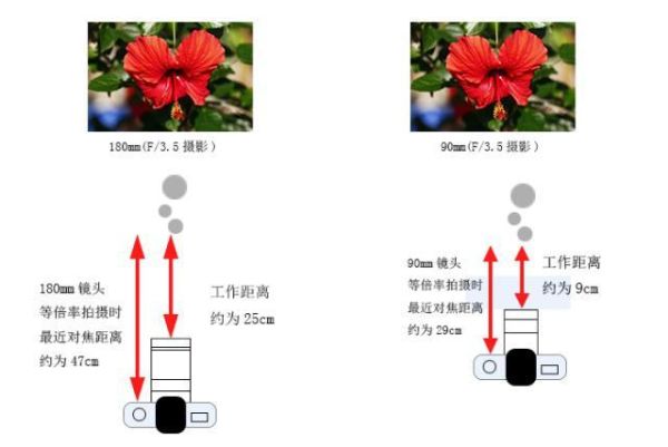 镜头对焦距离怎么测_最近对焦距离是多少-第1张图片-星辰妙记