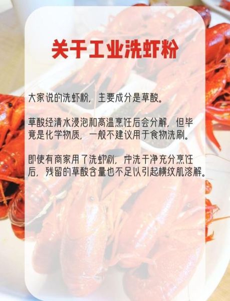 孕妇能吃龙虾吗_孕妇吃龙虾的注意事项-第1张图片-星辰妙记