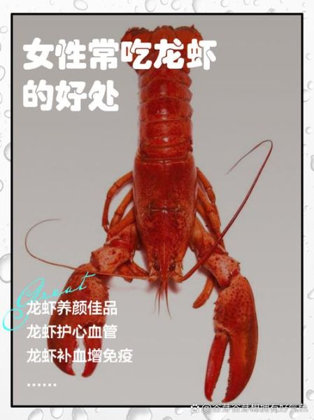 孕妇能吃龙虾吗_孕妇吃龙虾的注意事项-第3张图片-星辰妙记