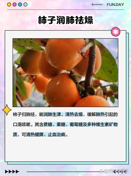 孕妇可以吃柿子吗_吃柿子对胎儿有影响吗-第3张图片-星辰妙记