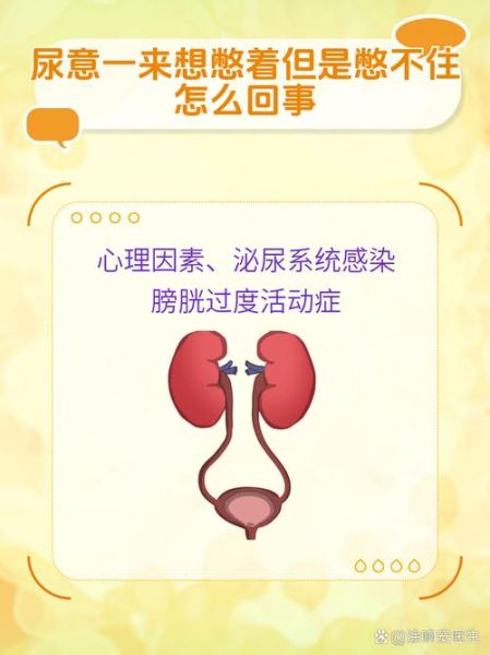 尿急怎么办_憋尿的危害有哪些-第2张图片-星辰妙记