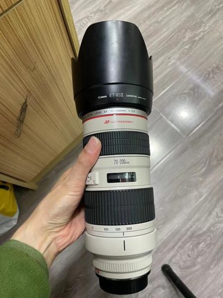 佳能70-200镜头报价_二手值得买吗-第3张图片-星辰妙记