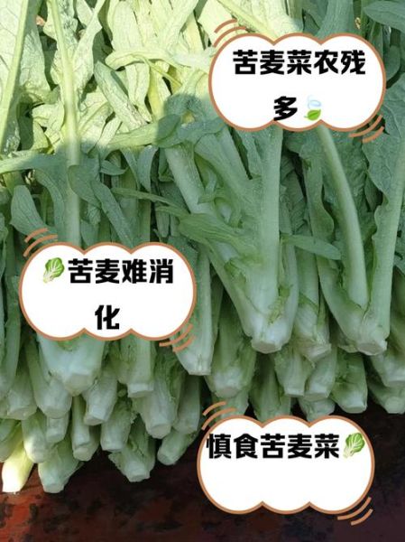 孕妇吃苦麦菜怎么办_对胎儿有影响吗-第1张图片-星辰妙记