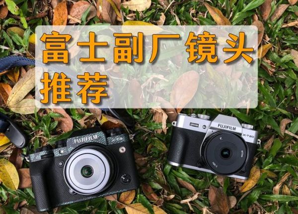 1455镜头适合拍什么_1455镜头画质怎么样-第3张图片-星辰妙记