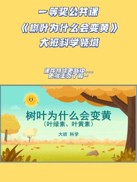 树叶为什么会变色_树叶的秘密有哪些-第3张图片-星辰妙记