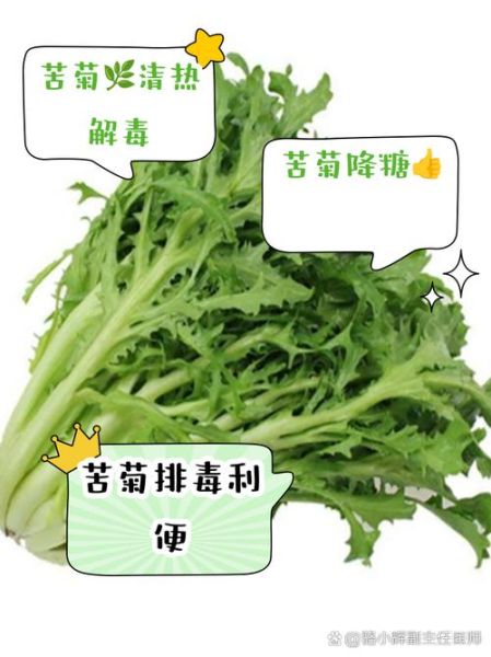 孕妇可以吃苦菊菜吗_苦菊菜孕妇能吃吗-第1张图片-星辰妙记