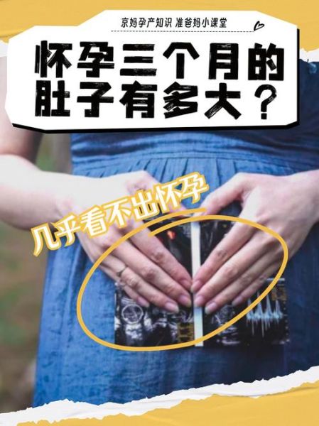三个月孕妇肚子大小_怀孕三个月肚子变化-第1张图片-星辰妙记 三个月孕妇肚子大小_怀孕三个月肚子变化-第1张图片-星辰妙记