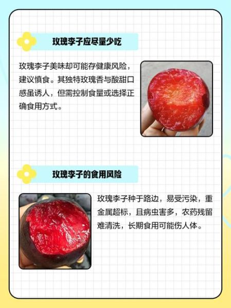 李子孕妇能吃吗_李子对胎儿有影响吗-第3张图片-星辰妙记