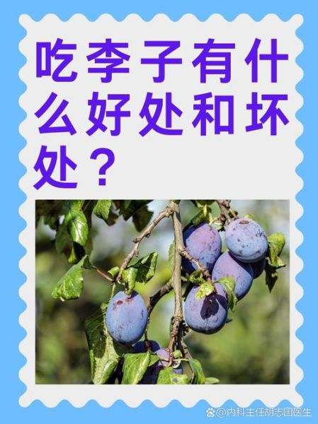 李子孕妇能吃吗_李子对胎儿有影响吗-第2张图片-星辰妙记