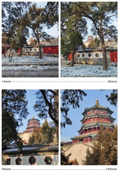 微距镜头光圈怎么选_微距镜头最佳光圈是多少-第2张图片-星辰妙记