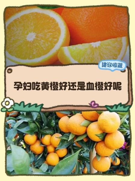 孕妇可以吃橘子吗_孕期吃橘子对胎儿好吗-第2张图片-星辰妙记