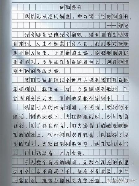 如何写出高分作文_600字作文怎么写-第2张图片-星辰妙记