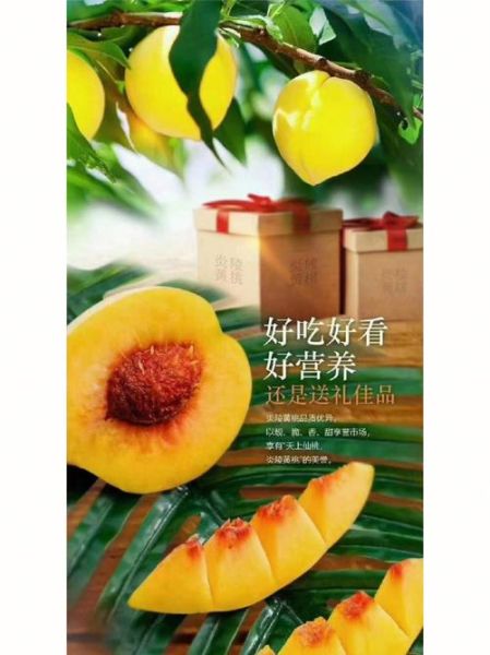 孕妇可以吃黄桃吗_孕妇吃黄桃的好处与禁忌-第3张图片-星辰妙记