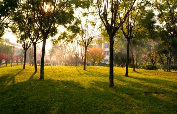 时景观镜头怎么拍_时景观镜头适合什么场景-第1张图片-星辰妙记