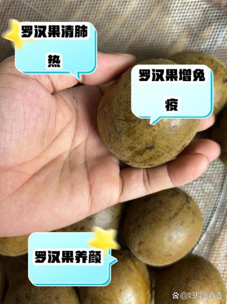 孕妇能吃罗汉果吗_罗汉果泡水对胎儿有影响吗-第1张图片-星辰妙记
