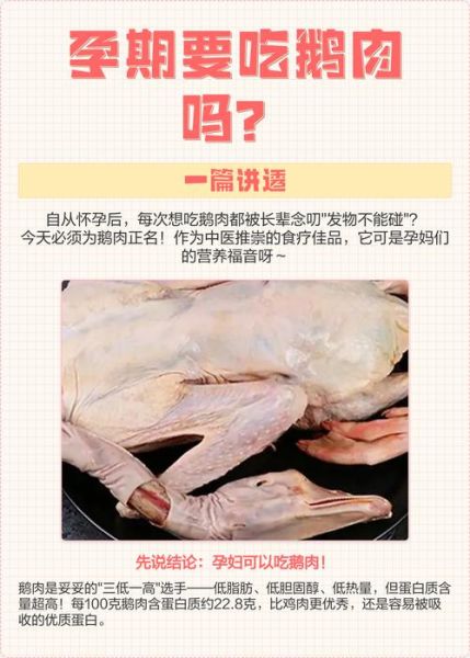 孕妇能吃鹅肉吗_孕妇吃鹅肉的好处与禁忌-第1张图片-星辰妙记