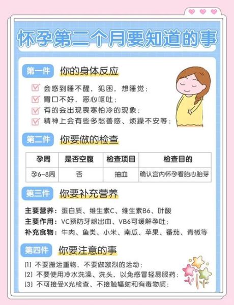 孕妇1个月注意事项_怀孕初期吃什么好-第3张图片-星辰妙记