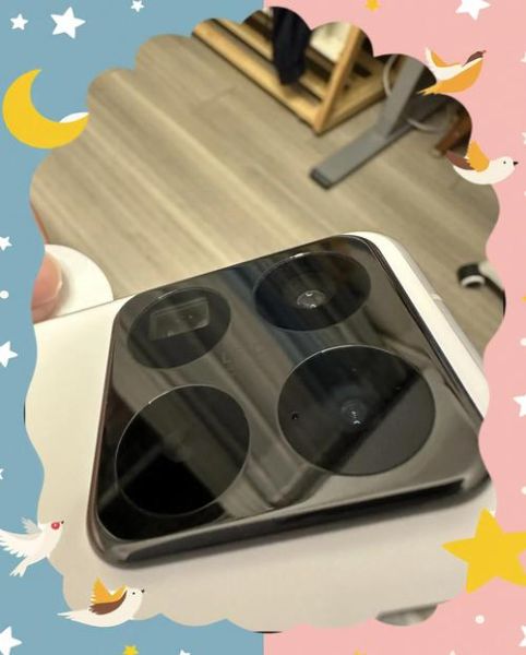 手机镜头进灰怎么办_如何自己清理镜头灰尘-第3张图片-星辰妙记