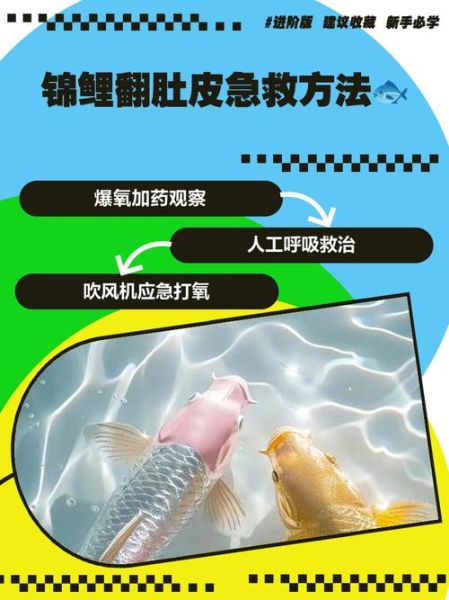 孕妇梦见救鱼是什么意思_孕妇梦见救鱼是生男生女-第2张图片-星辰妙记