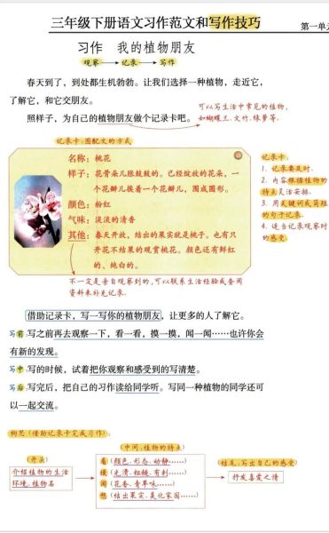 三年级作文怎么写_三年级作文写作技巧-第2张图片-星辰妙记