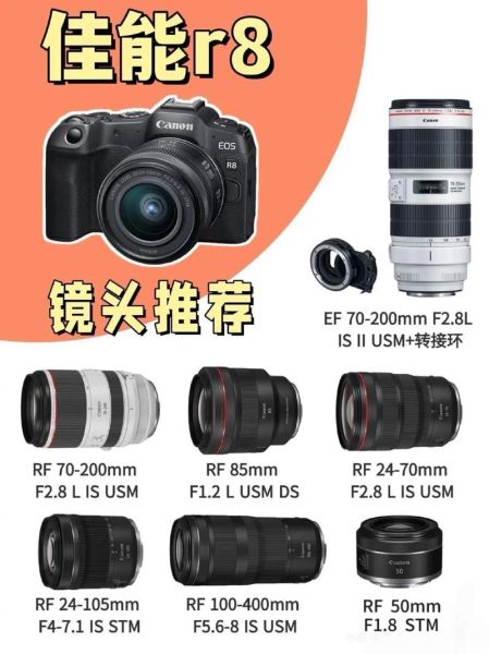 佳能微距镜头哪款好_佳能微距镜头怎么选-第3张图片-星辰妙记 佳能微距镜头哪款好_佳能微距镜头怎么选-第3张图片-星辰妙记