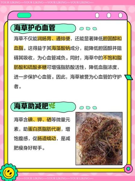 孕妇可以吃海草吗_海草对孕妇的好处与风险-第1张图片-星辰妙记