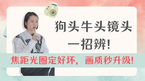 镜头狗头牛头区别_怎么选-第1张图片-星辰妙记