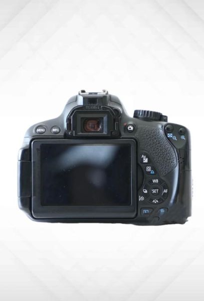 国产单反镜头哪个最好_国产单反镜头推荐-第1张图片-星辰妙记