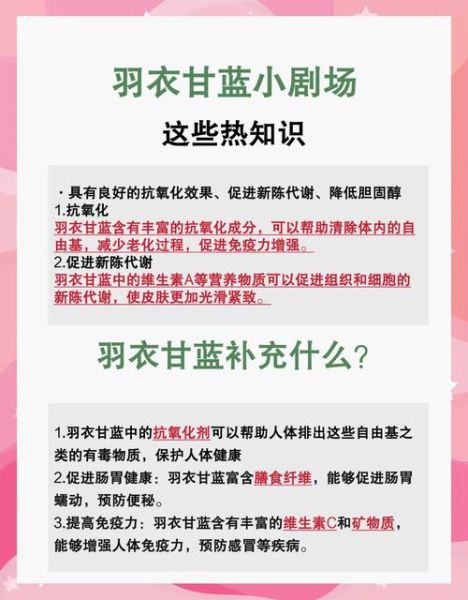 孕妇可以吃羽衣甘蓝吗_羽衣甘蓝孕期安全吃法-第1张图片-星辰妙记