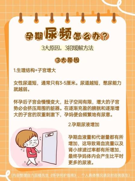 孕妇四个月尿频正常吗_孕中期频繁上厕所原因-第1张图片-星辰妙记