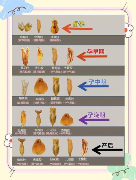 鱼胶孕妇可以吃吗_怀孕吃鱼胶的禁忌-第3张图片-星辰妙记