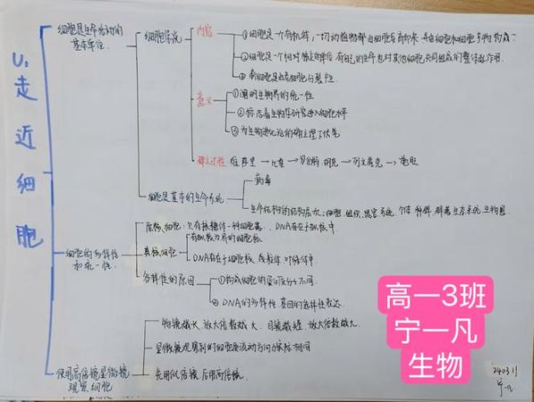 北京工业大学附属中学怎么样_北京工业大学附属中学招生条件-第2张图片-星辰妙记