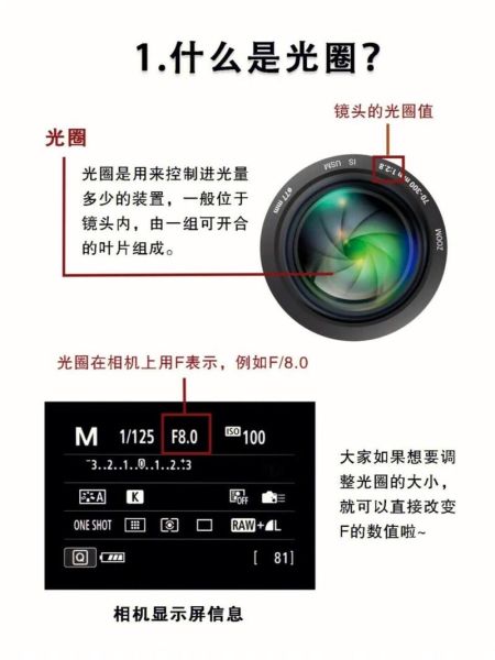 电影镜头光圈是什么_如何调节电影镜头光圈-第2张图片-星辰妙记