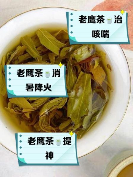 孕妇可以喝老鹰茶吗_孕期喝老鹰茶对胎儿有影响吗-第1张图片-星辰妙记